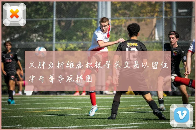 文胖分析雄鹿积极寻求交易以留住字母哥争冠拼图