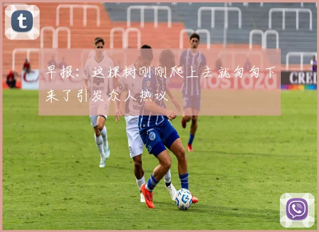 早报：这棵树刚刚爬上去就匆匆下来了引发众人热议